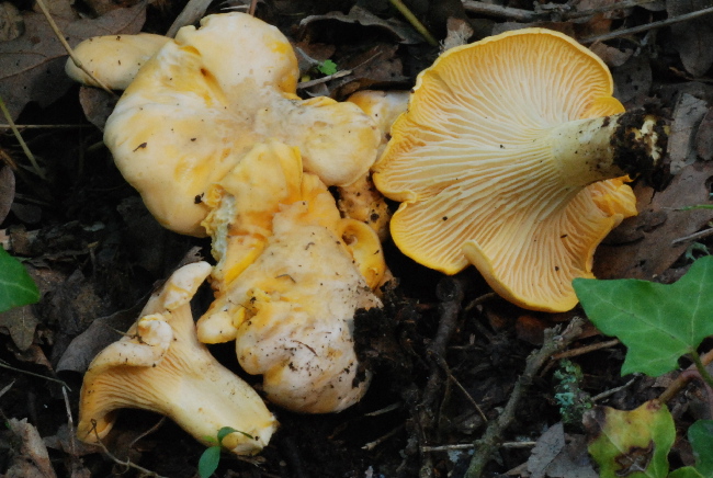 Uscita del 18 Cima di Tuoro (PG)